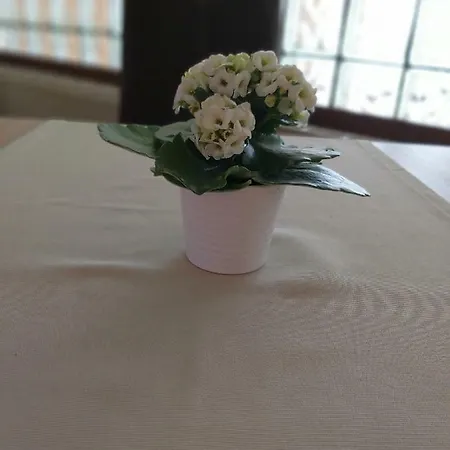 Horvath Fogado Panzio Guest house